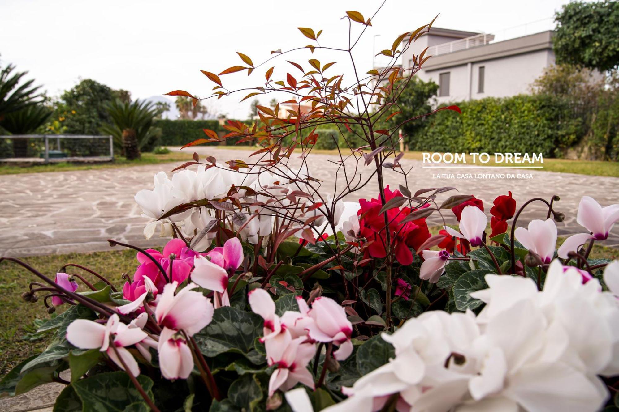Room To Dream San Valentino Torio Εξωτερικό φωτογραφία